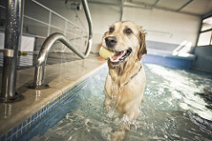 Turca | Quinta Monte dos Vendavais • <a style="font-size:0.8em;" href="http://www.flickr.com/photos/41789405@N02/3853177668/" target="_blank">View on Flickr</a>