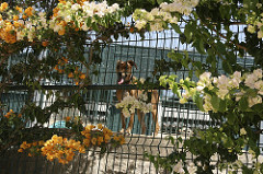 Quinta Monte dos Vendavais • <a style="font-size:0.8em;" href="http://www.flickr.com/photos/41789405@N02/3854183198/" target="_blank">View on Flickr</a>