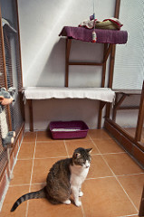 Gatil Laranja | Quinta Monte dos Vendavais • <a style="font-size:0.8em;" href="http://www.flickr.com/photos/41789405@N02/4131316818/" target="_blank">View on Flickr</a>