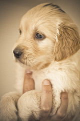 Guadiana | Quinta Monte dos Vendavais • <a style="font-size:0.8em;" href="http://www.flickr.com/photos/41789405@N02/3853178856/" target="_blank">View on Flickr</a>