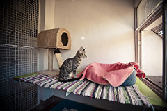 Kat | Quinta Monte dos Vendavais • <a style="font-size:0.8em;" href="http://www.flickr.com/photos/41789405@N02/3852390045/" target="_blank">View on Flickr</a>