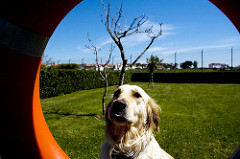 Turca | Quinta Monte dos Vendavais