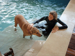 Actividades de Lazer | Quinta Monte dos Vendavais • <a style="font-size:0.8em;" href="http://www.flickr.com/photos/41789405@N02/4019407446/" target="_blank">View on Flickr</a>