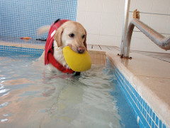 Fisioterapia | Quinta Monte dos Vendavais • <a style="font-size:0.8em;" href="http://www.flickr.com/photos/41789405@N02/4018645903/" target="_blank">View on Flickr</a>