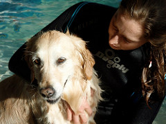 Actividades de Lazer | Quinta Monte dos Vendavais • <a style="font-size:0.8em;" href="http://www.flickr.com/photos/41789405@N02/4019406480/" target="_blank">View on Flickr</a>