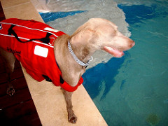 Duia | Quinta Monte dos Vendavais