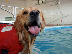 Dairon | Quinta Monte dos Vendavais • <a style="font-size:0.8em;" href="http://www.flickr.com/photos/41789405@N02/4019409634/" target="_blank">View on Flickr</a>