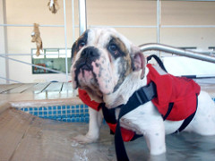 Bolt | Quinta Monte dos Vendavais