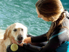 Actividades de Lazer | Quinta Monte dos Vendavais