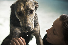 Naná | Quinta Monte dos Vendavais • <a style="font-size:0.8em;" href="http://www.flickr.com/photos/41789405@N02/3853182606/" target="_blank">View on Flickr</a>