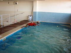 Duia | Quinta Monte dos Vendavais • <a style="font-size:0.8em;" href="http://www.flickr.com/photos/41789405@N02/4018643591/" target="_blank">View on Flickr</a>