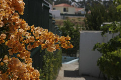 Quinta Monte dos Vendavais • <a style="font-size:0.8em;" href="http://www.flickr.com/photos/41789405@N02/3854183382/" target="_blank">View on Flickr</a>