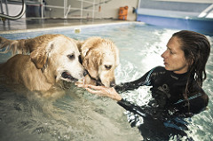 Fisioterapia | Quinta Monte dos Vendavais • <a style="font-size:0.8em;" href="http://www.flickr.com/photos/41789405@N02/4131294972/" target="_blank">View on Flickr</a>