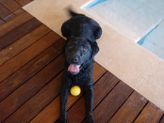 Actividades de Lazer | Quinta Monte dos Vendavais