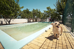 Piscina Lazer | Quinta Monte dos Vendavais