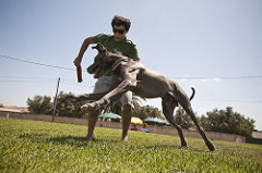 Chico | Quinta Monte dos Vendavais • <a style="font-size:0.8em;" href="http://www.flickr.com/photos/41789405@N02/4130558441/" target="_blank">View on Flickr</a>