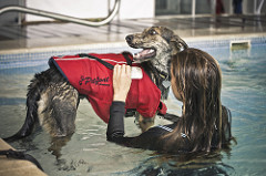 Fisioterapia | Quinta Monte dos Vendavais • <a style="font-size:0.8em;" href="http://www.flickr.com/photos/41789405@N02/4130539095/" target="_blank">View on Flickr</a>