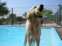 Piscina Lazer | Quinta Monte dos Vendavais