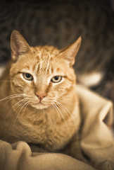 Fellinni | Quinta Monte dos Vendavais • <a style="font-size:0.8em;" href="http://www.flickr.com/photos/41789405@N02/4131309298/" target="_blank">View on Flickr</a>