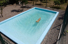 Piscina Lazer Exterior | Quinta Monte dos Vendavais • <a style="font-size:0.8em;" href="http://www.flickr.com/photos/41789405@N02/4018642401/" target="_blank">View on Flickr</a>