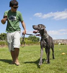 Chico | Quinta Monte dos Vendavais