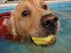 Dairon | Quinta Monte dos Vendavais • <a style="font-size:0.8em;" href="http://www.flickr.com/photos/41789405@N02/4019409922/" target="_blank">View on Flickr</a>