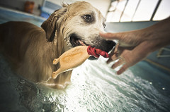 Fisioterapia | Quinta Monte dos Vendavais • <a style="font-size:0.8em;" href="http://www.flickr.com/photos/41789405@N02/4131297484/" target="_blank">View on Flickr</a>