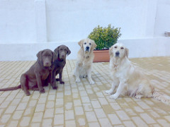 Família Feliz | Quinta Monte dos Vendavais