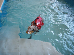 Duia | Quinta Monte dos Vendavais • <a style="font-size:0.8em;" href="http://www.flickr.com/photos/41789405@N02/4018643045/" target="_blank">View on Flickr</a>