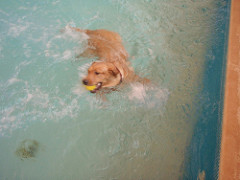 Actividades de Lazer | Quinta Monte dos Vendavais • <a style="font-size:0.8em;" href="http://www.flickr.com/photos/41789405@N02/4018646429/" target="_blank">View on Flickr</a>