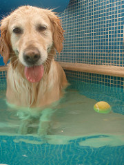 Actividades de Lazer | Quinta Monte dos Vendavais • <a style="font-size:0.8em;" href="http://www.flickr.com/photos/41789405@N02/4018644597/" target="_blank">View on Flickr</a>