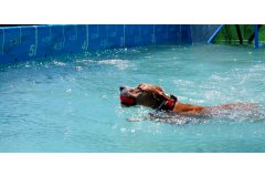 dock | Quinta Monte dos Vendavais