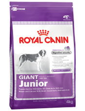 Giant Junior (15 kg)