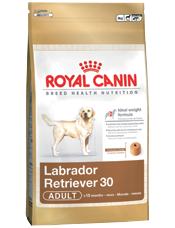 Labrador Retriever (12 kg)