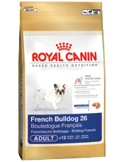 French Bulldog (4 kg)