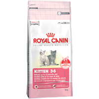 Royal Canin Kitten 36 (2kg)