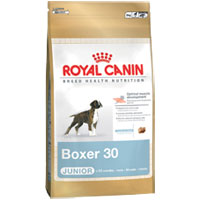 Royal Canin Boxer Junior (12kg)